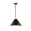 Baltique - luminaire suspendu - 1 lumière - noir / laiton brossé - abat-jour en fer-710515765-710515764