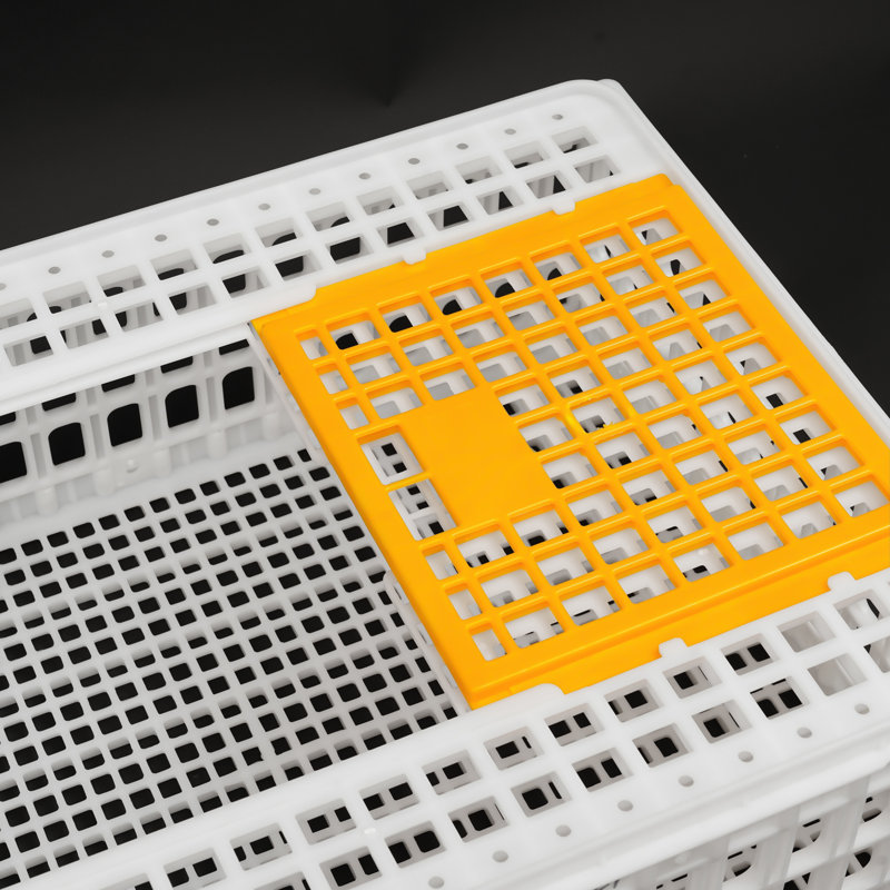 Cage de transport en plastique en plastique, Blanc