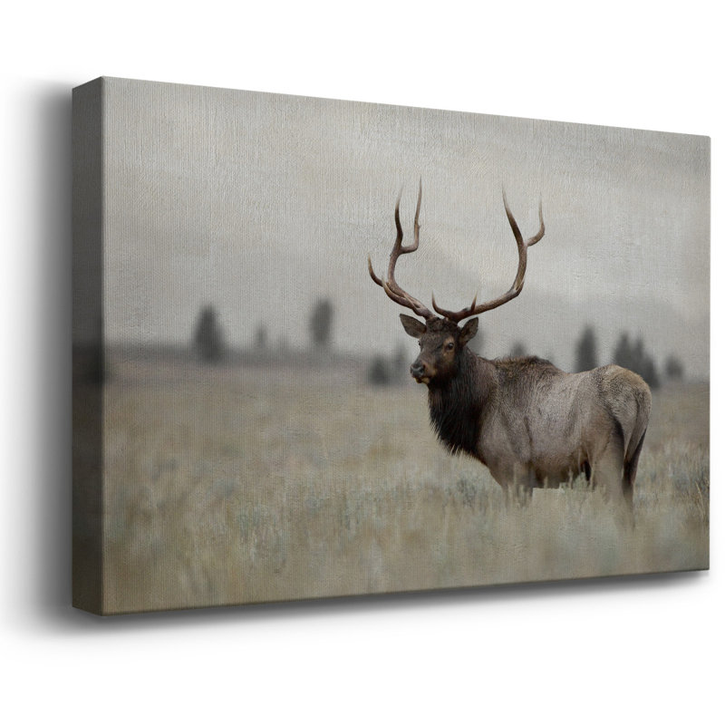 Toile tendue avec châssis Grand Elk Premium - prête à être accrochée, H 24 po x l 36 po