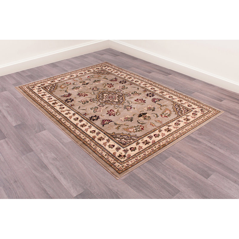 Salsbury Oriental Hand Woven Area Rug, Rectangle 160 x 230cm