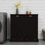 Armoire de trieur de linge à deux compartiments inclinable, durable et élégante pour la gestion organisée de la lessive