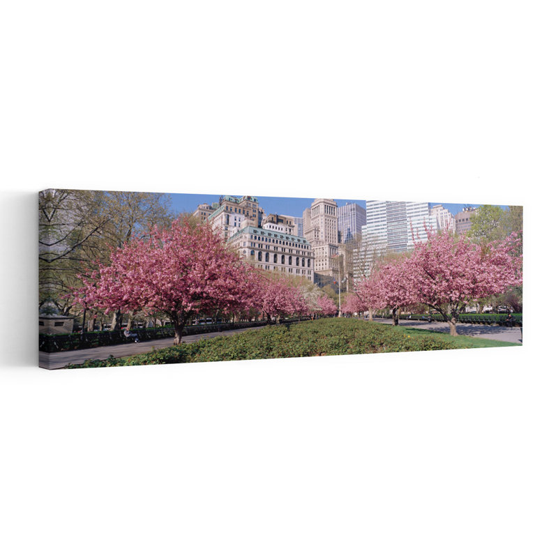 Cherry Trees Battery Park NYC New York City New York State USA by Greg Probst - Wrapped Canvas Panoramic Print