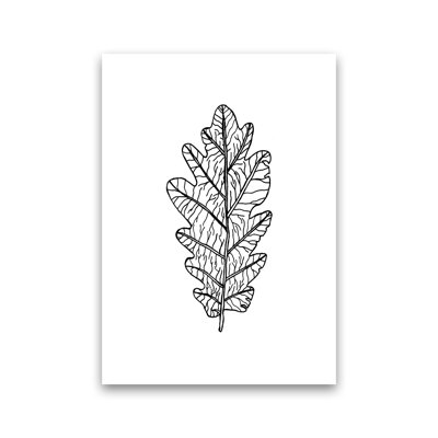 Oak Leaf by Carissa Tanton - Print