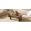 Ensemble de tables basses modernes U-Can