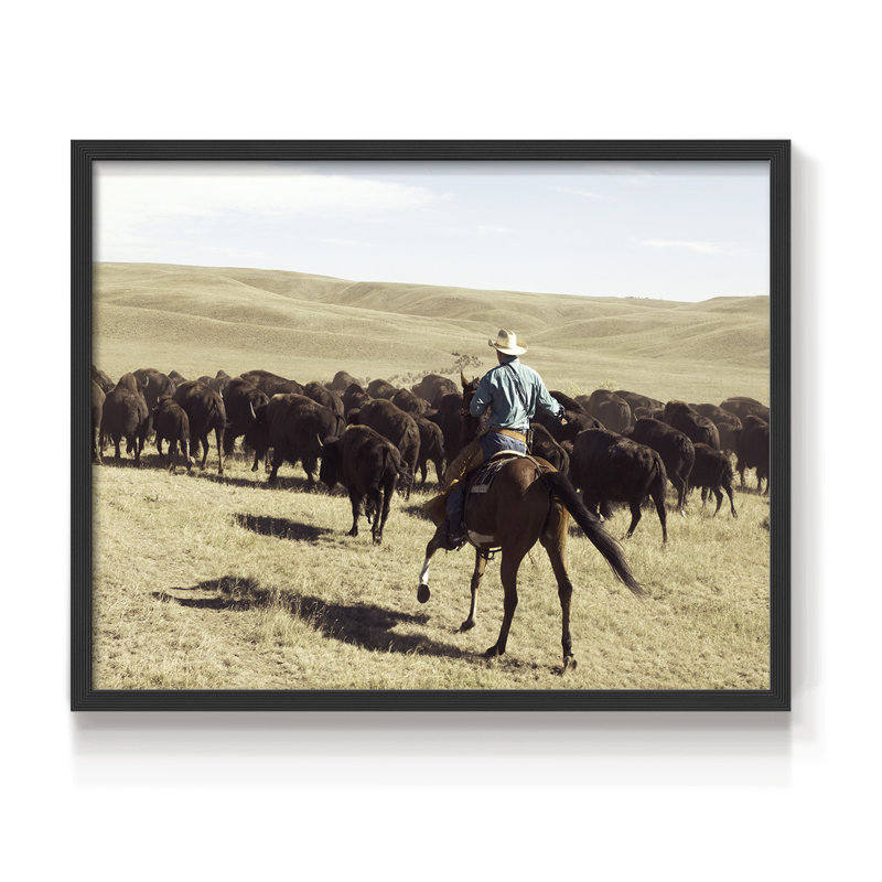 Bison Roundup - Reproduction encadrée - Restickable, H 8 po x l 10 po, Noir, noir, noir, noir