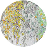 Orchid Garden 16" Vinyl Placemat