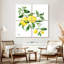 Yarlin citrons siciliens I-109118556