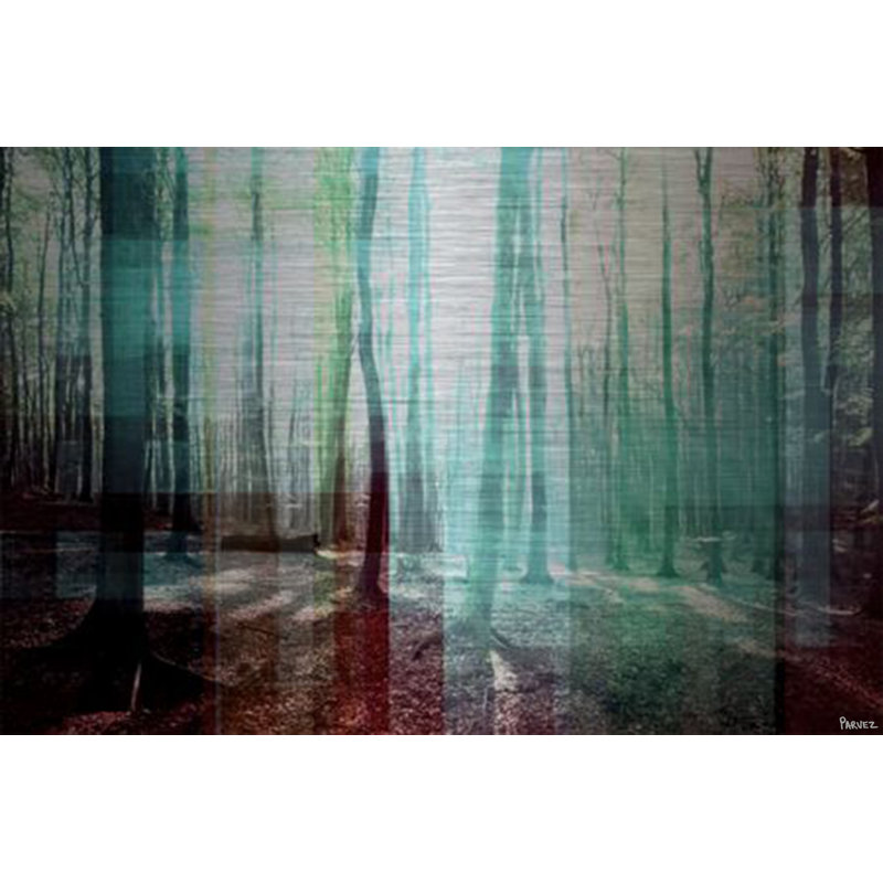 «Green Shadows» par Parvez Taj, reproduction sur métal, 30 po x 45 po