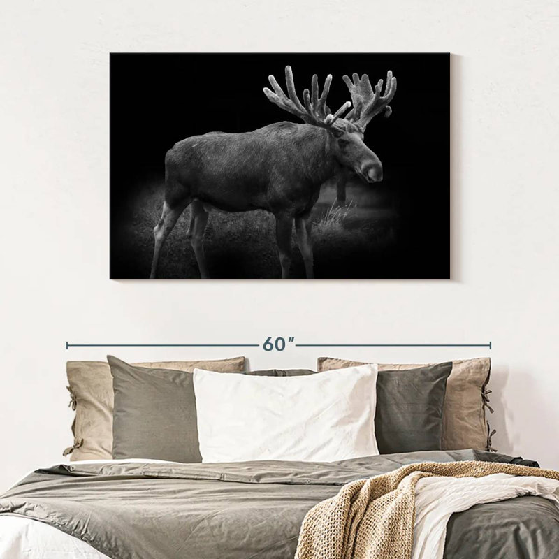 Brampt Monochromatic Bull Moose, 32" H x 48" W