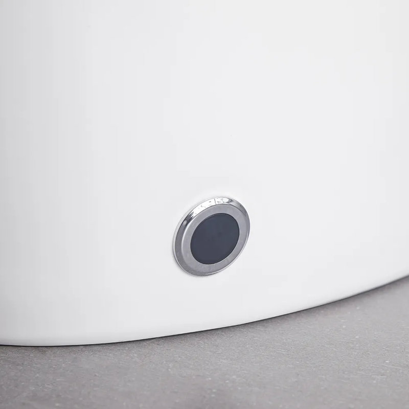 Ivy Bronx Adreian 1.28L LPF Elongated Floor Mounted One-Piece Toilet (Seat Included)