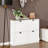 Cabinets | Slim Freestanding Shoe Storage Cabinet, 4 Flip Drawers, Adjustable Shelf, Modern Snow White E1 MDF for Foyer | Modern | Entryway