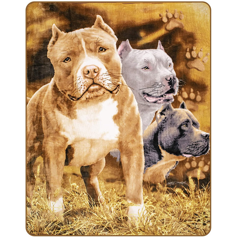 Pitbull Plush Blanket