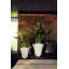 Pezzettina Plastic Pot Planter