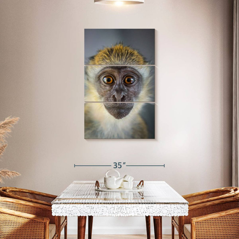 Brampt Vervet Monkey, 45" H x 28" W
