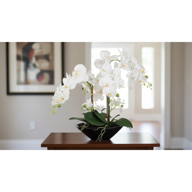Phalaenopsis Orchid Floral Arrangement in Vase, White