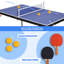 Gaomon Foldable Table Tennis Table (Paddles Included)