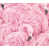 Pink is out of stock selected