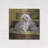 " Maltese " by Barbara Keith-836500663