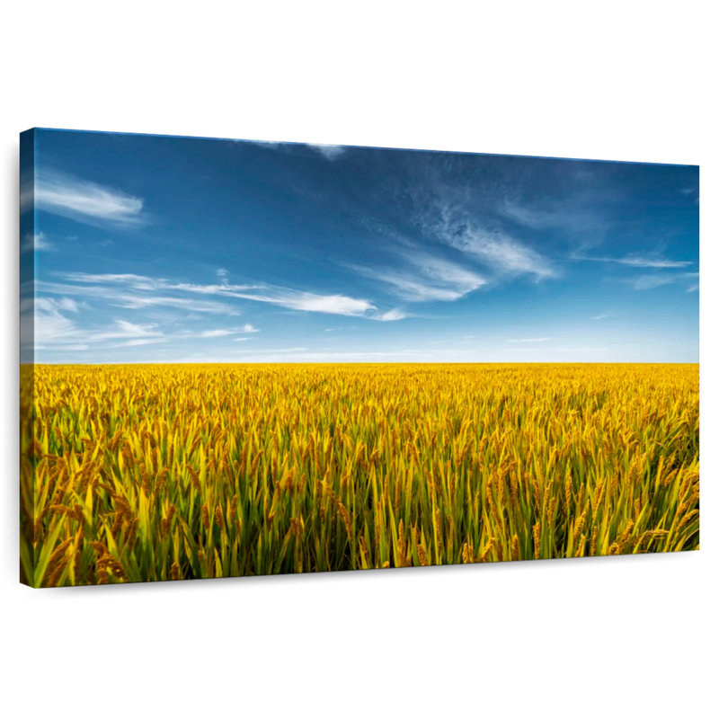 Harnek Suzhou Wheat Field, 16" H x 24" W