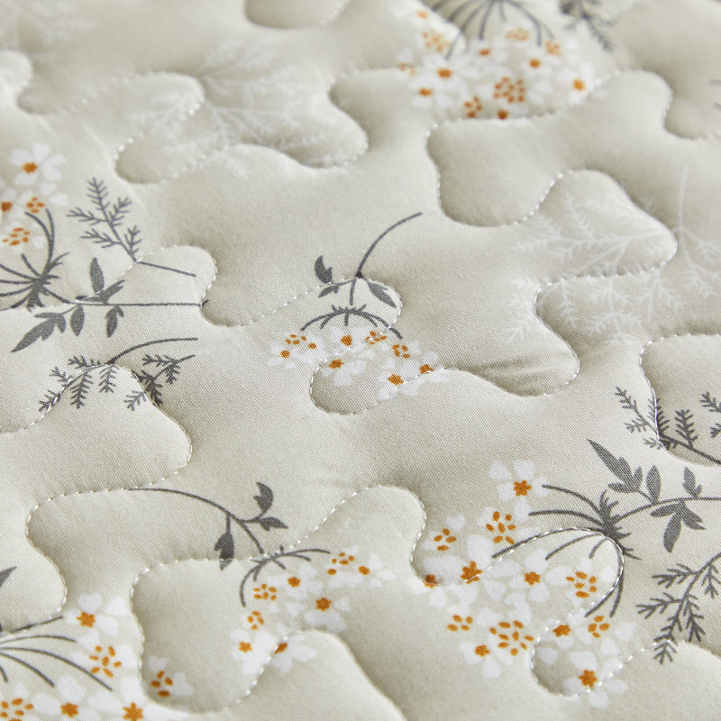 3 Piece  All Season Cottagecore Microfiber Quilt Set, Queen Quilt + 2 Standard Shams, Cream Floral