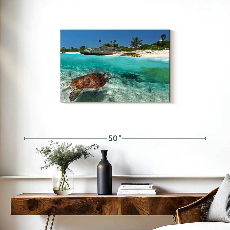 Caraïbes, île des tortues, H 20 po x l 30 po