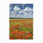 Adam Burton, toile d'extérieur «Colors of Summer»-87945140