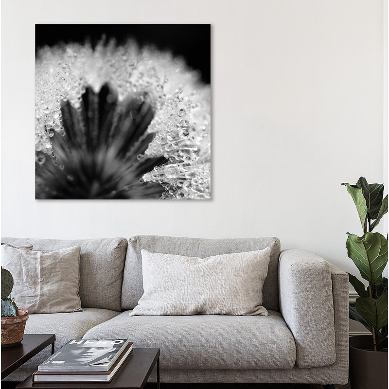« sensitive perles », reproduction de photo sur toile tendue, H 24 po x l 24 po x P 1,5 po