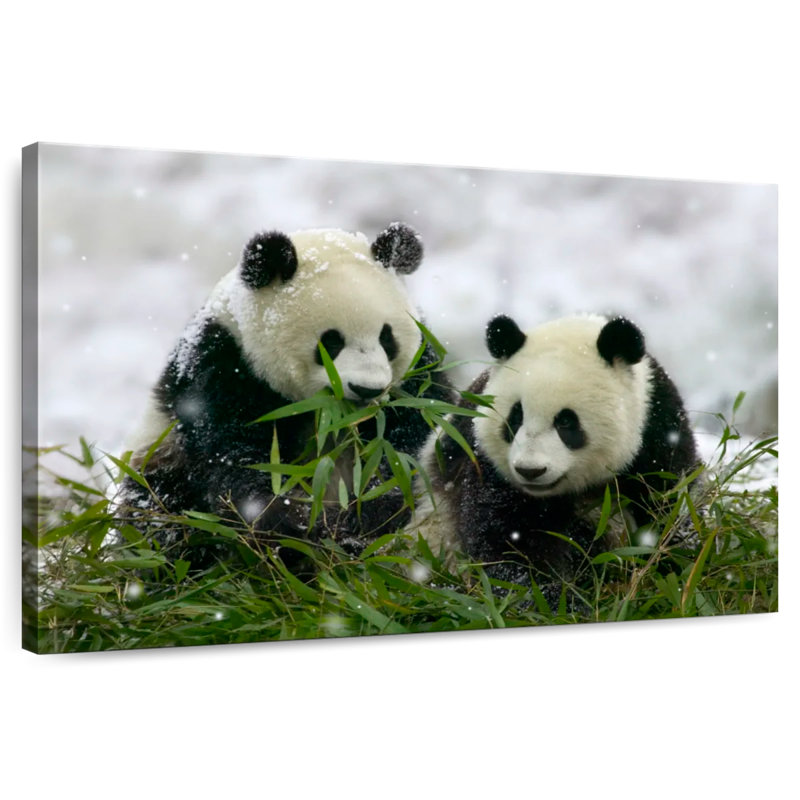 Hiver Pandas, H 8 po x l 12 po