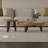 Coffee Table Set with Oak Legs