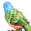 Bird Objet