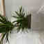 Photos des clients 1 de 2