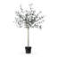Faux Olive Tree Tree in Pot