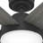 Donatella 52" 6 - Blade Ceiling Fan with Lights and Remote-83665632