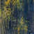 Couche de verre