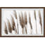 Feathered Grass II 1 Piece Single Picture Frame Painting-1921553803