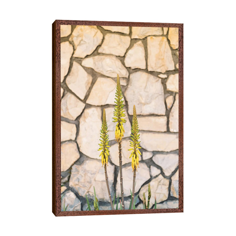 Palm Springs Blooms by Bethany Young - Print on Canvas, Classic Brown Wood Framed, 66.04cm H x 45.72cm W x 3.81cm D