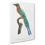 Motmot Bird by Jacques Barraband - Wrapped Canvas Painting-55362233