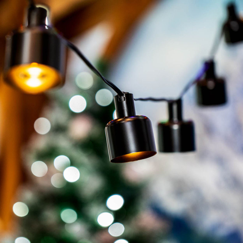 Doyne Outdoor 10 - Bulb 11'' Plug-in LED Globe String Light