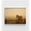 Art de campagne lever du soleil, photo de campagne du matin, œuvre d'art de grand cheval, décor de bureau de fermier, reproduction de photographie de campagne, art de ferme rustique