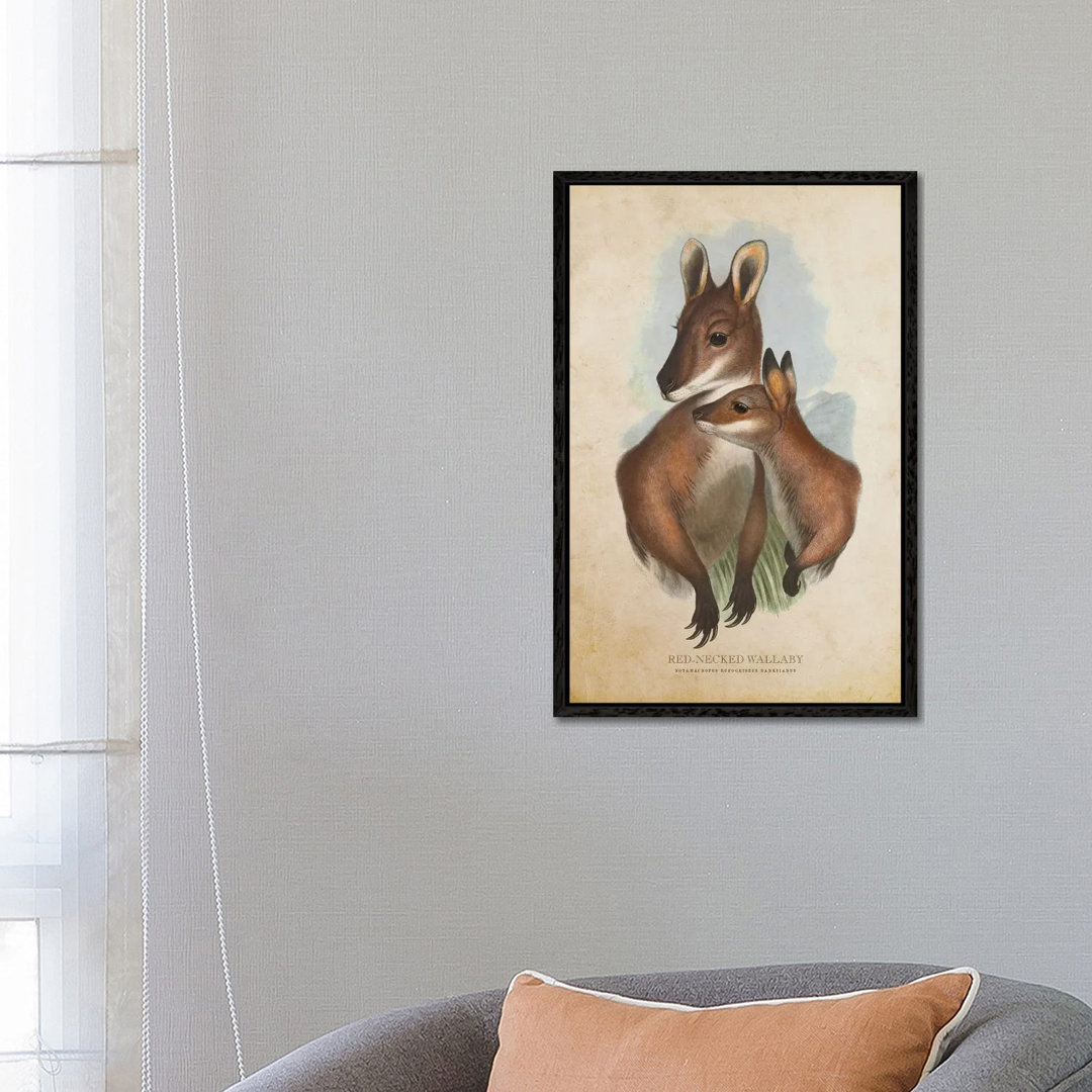 Vintage Red-Necked Wallaby von Aged Pixel - Gallery-Wrapped Canvas Giclée on Canvas