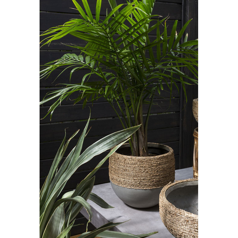 Pot à fleurs Elanie, H 11,5 po x l 12 po x P 12 po