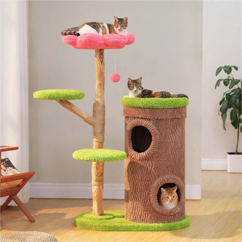 Tour à chat moderne 53,5 po avec poteau à griffer en bois massif naturel, 2 condos pour maison intérieure et multi-chats