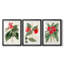 FloraOf TheTropicsI - Impression encadrée sur mesure de qualité supérieure - 3 pièces-1609287419-1609287418