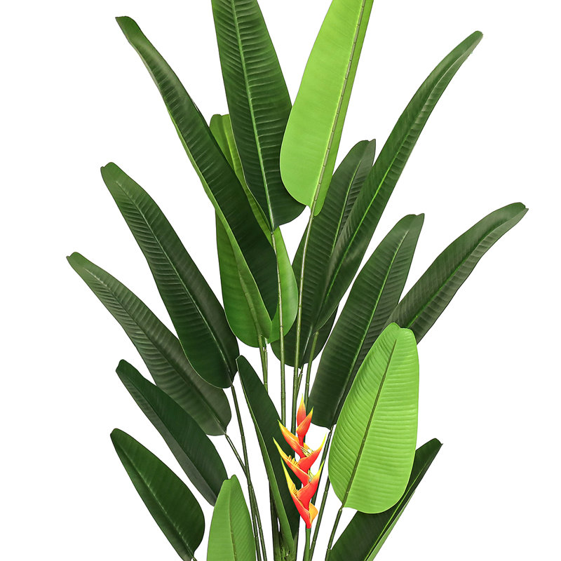 Plante tropicale en pot noir 7 pi