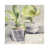 Wrapped Canvas
