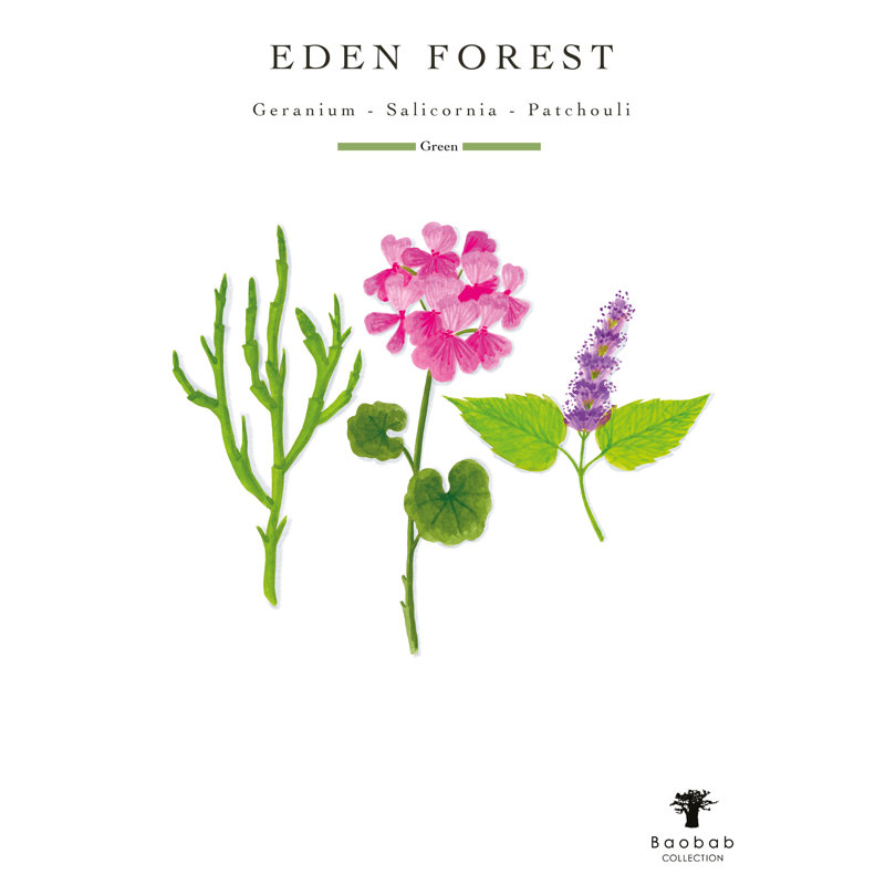 Eden Forest, 13.8" H x 9.36" W x 9.36" D