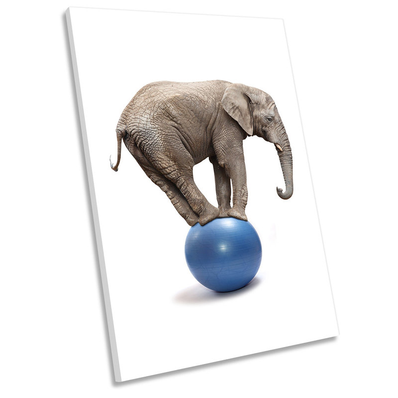 Elephant Balancing Ball - Wrapped Canvas Art Prints, 121.9cm H x 81.3cm W