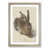 Oak Framed selected