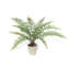 Faux Fern Plant in Pot