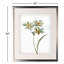 «Neutral Botanical I», ensemble de 2 reproductions de peintures à l'acrylique encadrées-28785932